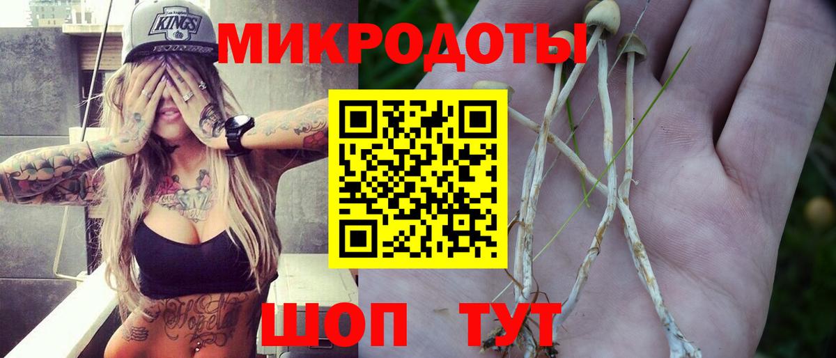 Галлюциногенные грибы Cubensis Асбест