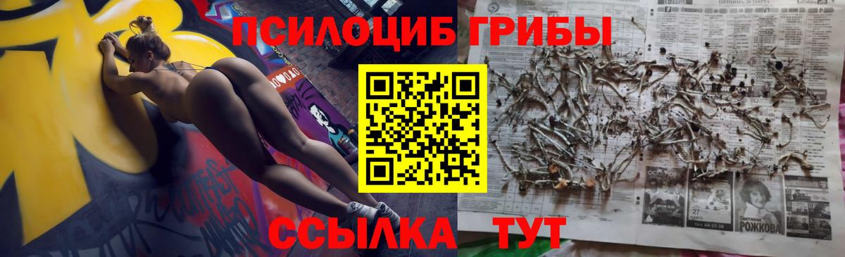 Асбест  Галлюциногенные грибы Magic Shrooms  Галлюциногенные грибы мицелий  Вход с VPN 
